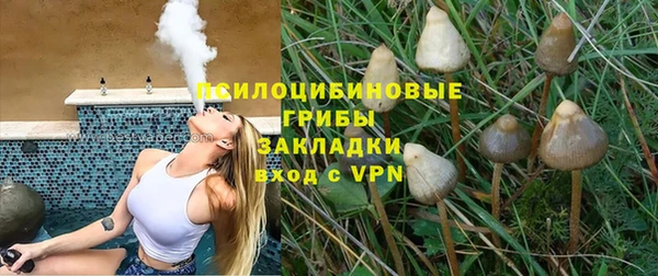 ГАЛЛЮЦИНОГЕННЫЕ ГРИБЫ Алзамай