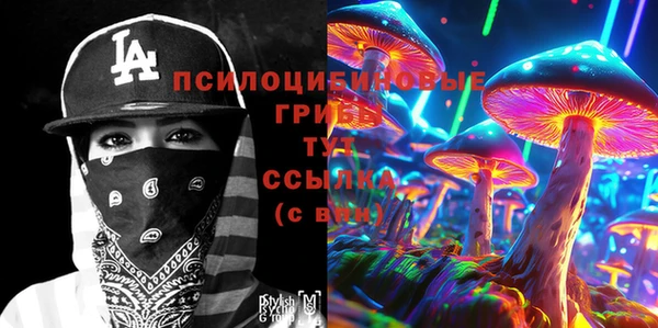 крисы Алексеевка