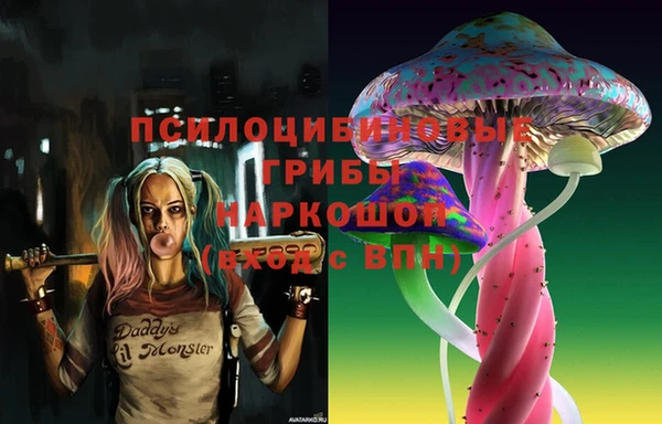 ГАЛЛЮЦИНОГЕННЫЕ ГРИБЫ Алзамай