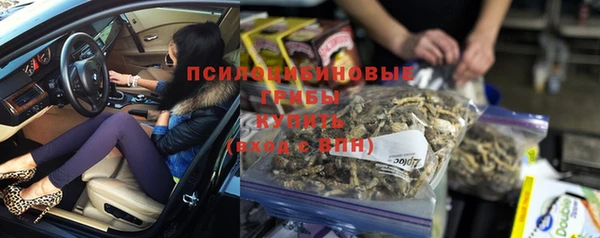 крисы Алексеевка